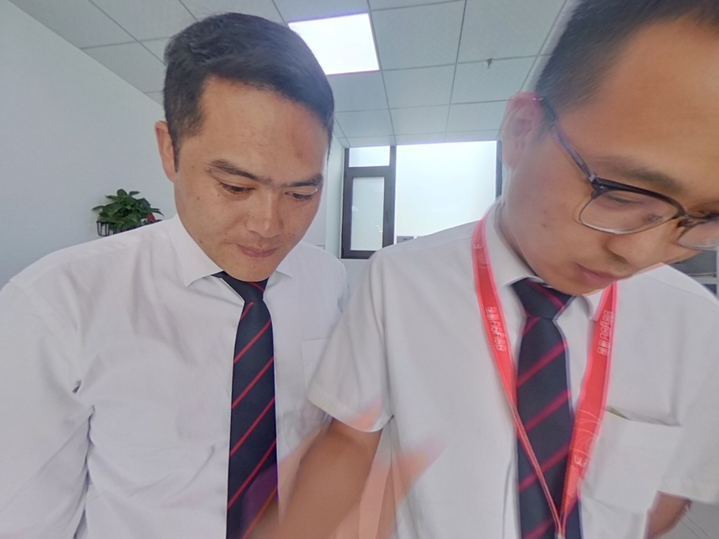 VR预览图