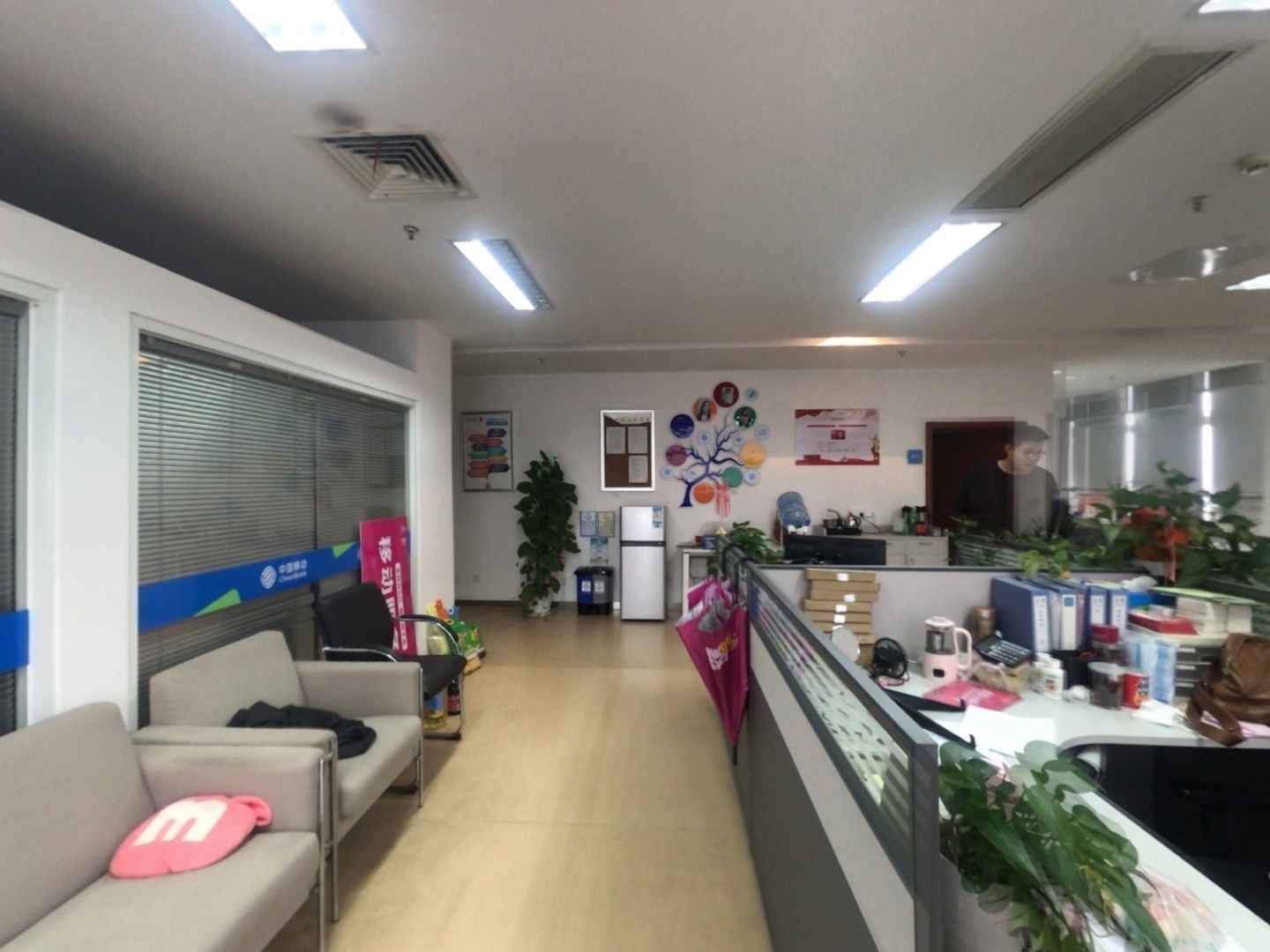 VR预览图