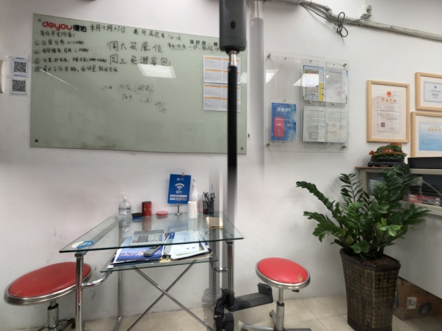 VR预览图