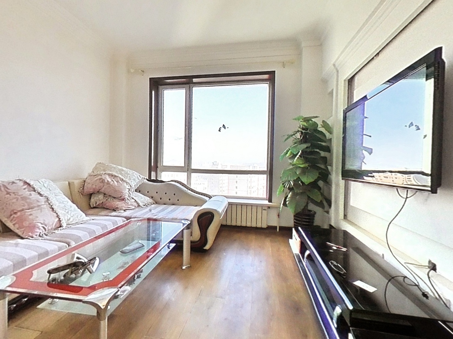 VR预览图