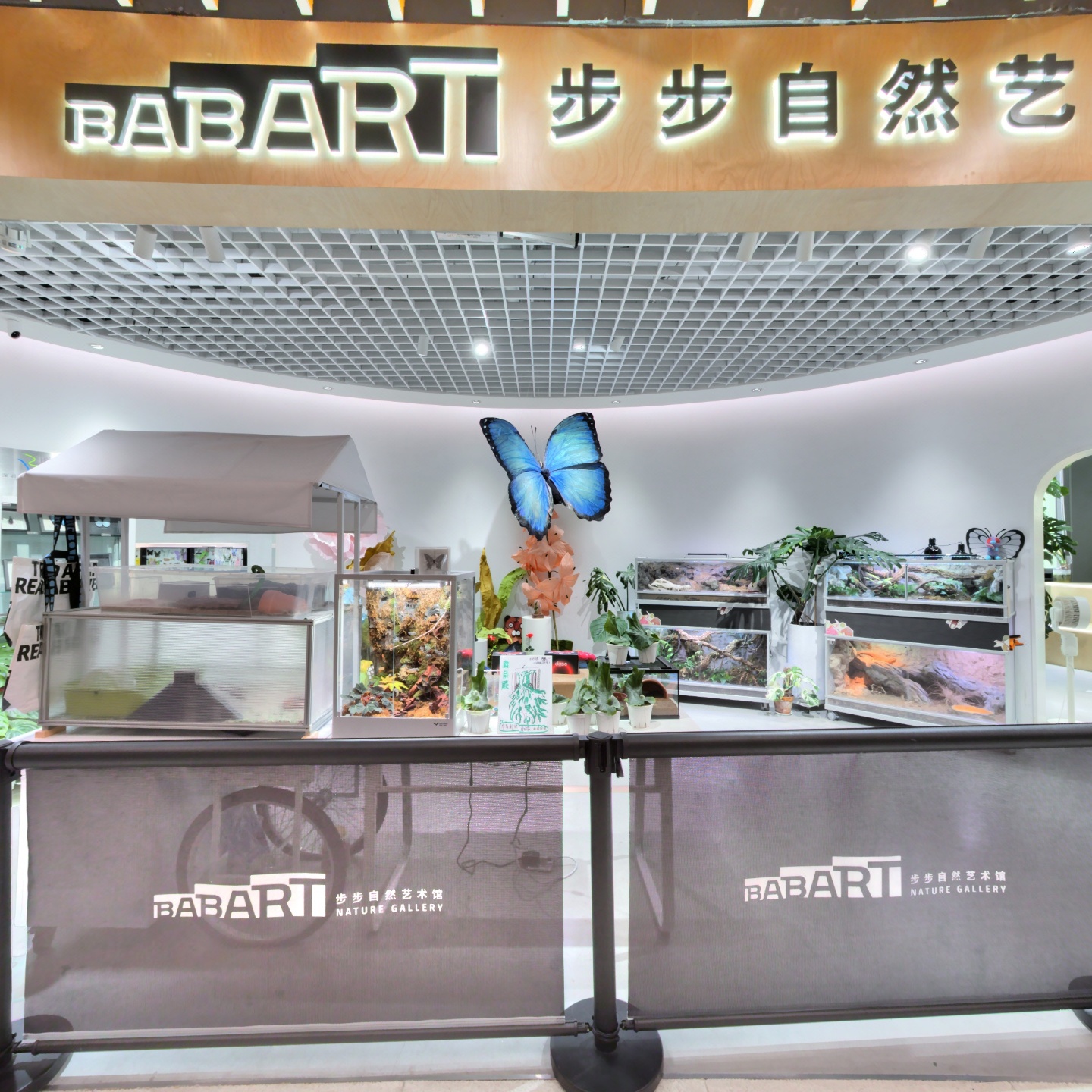 步步自然艺术馆,如视VR