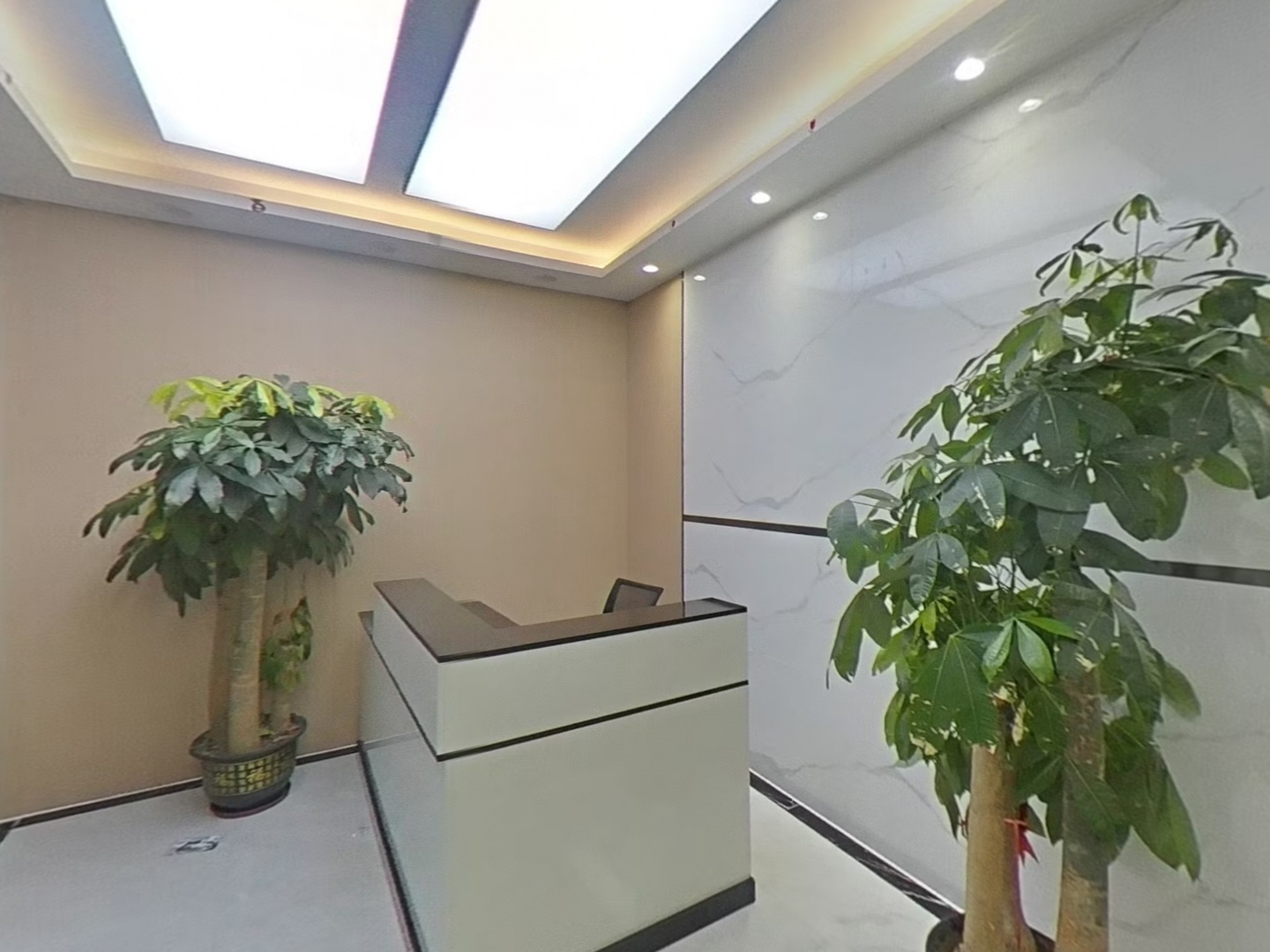 VR预览图