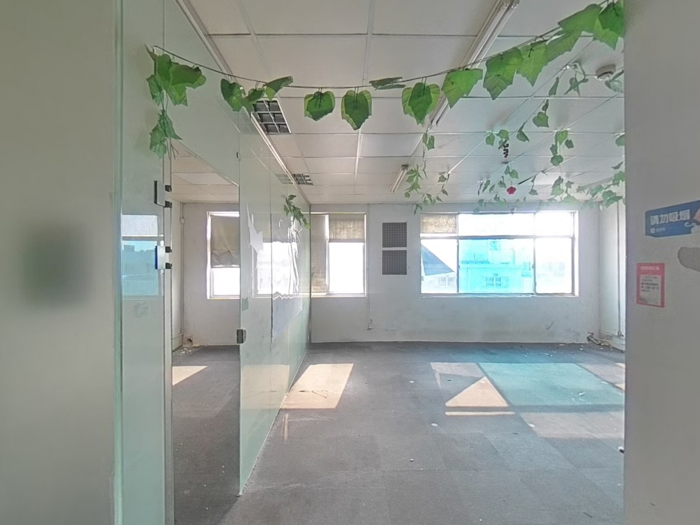VR预览图