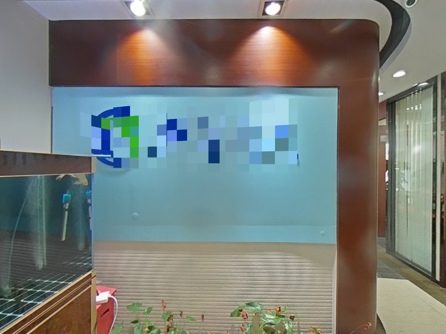VR预览图
