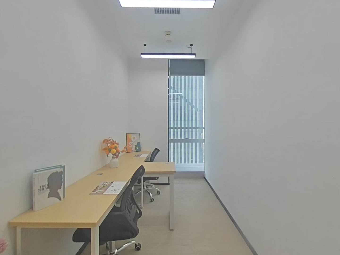 VR预览图