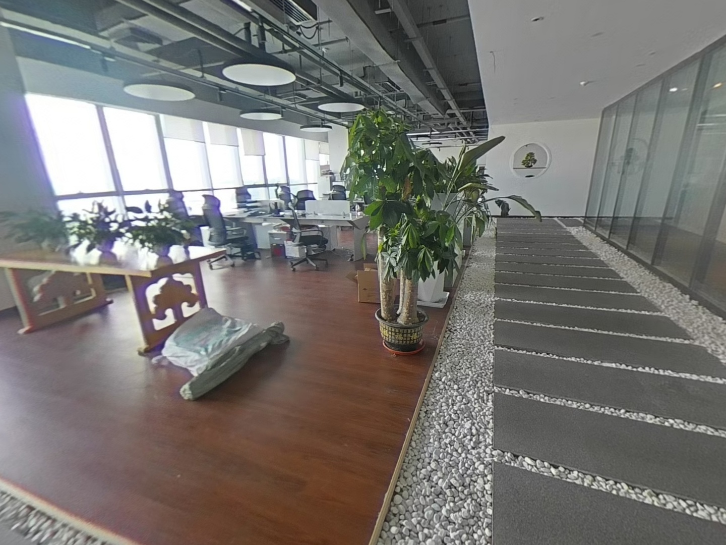 VR预览图