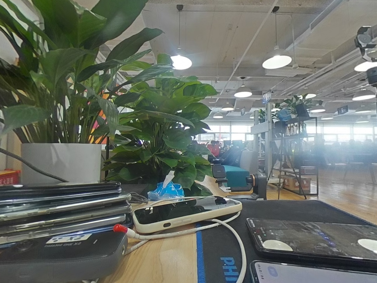 VR预览图