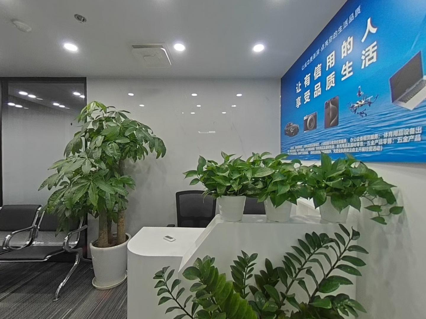 VR预览图