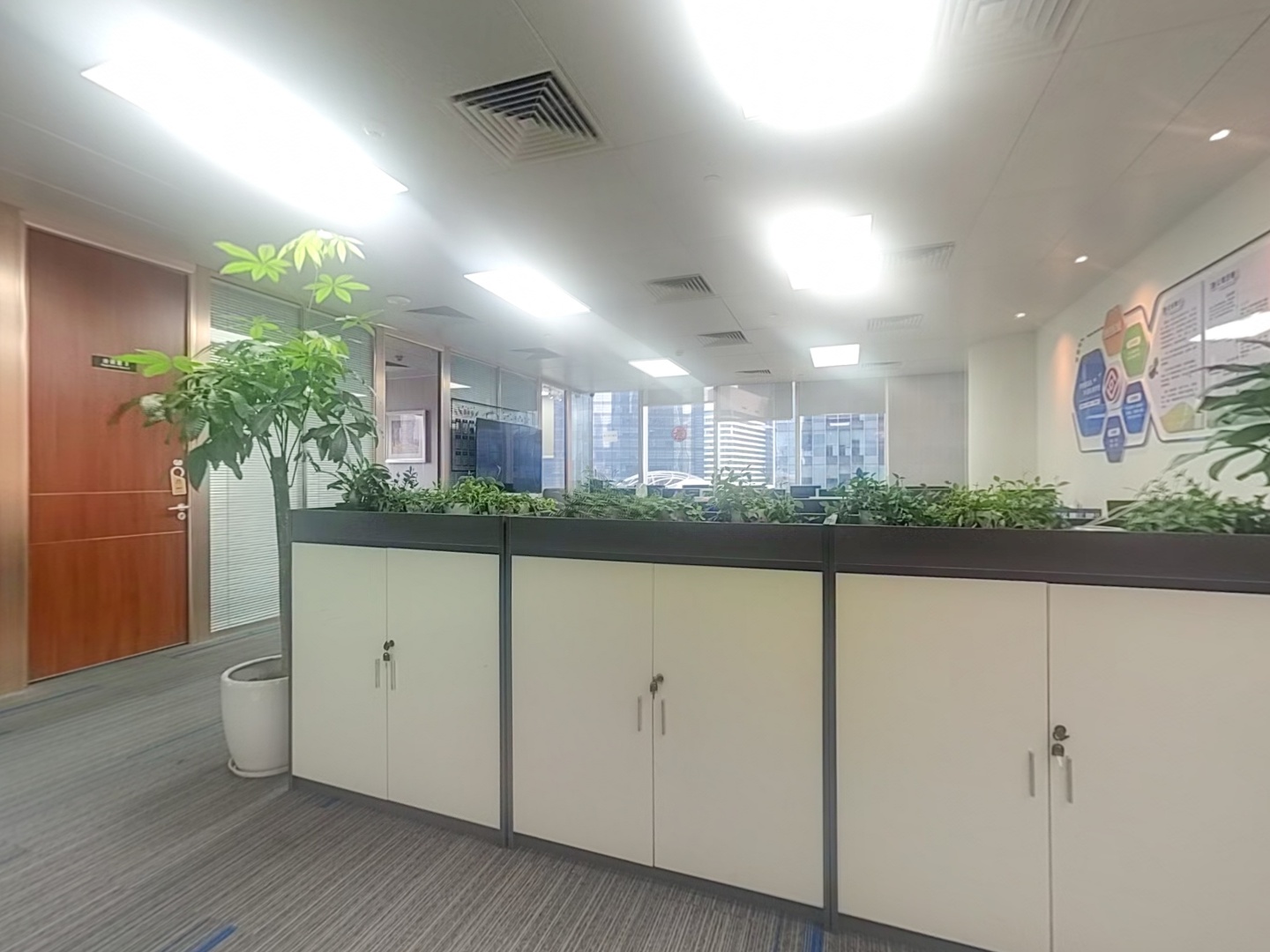VR预览图