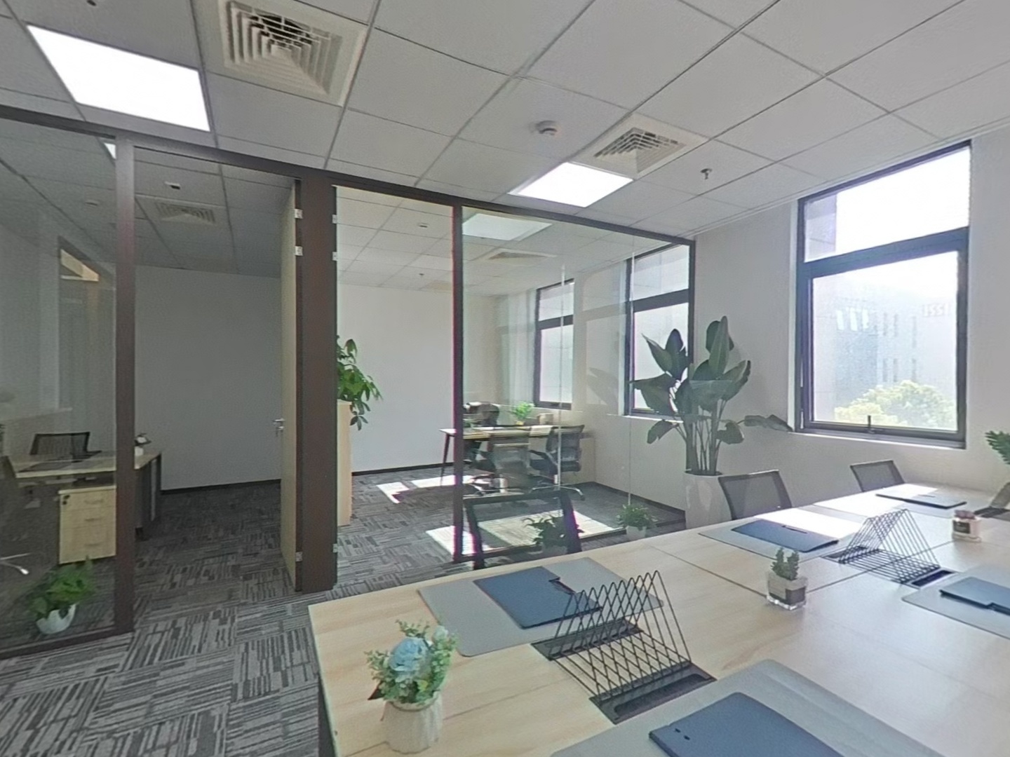 VR预览图