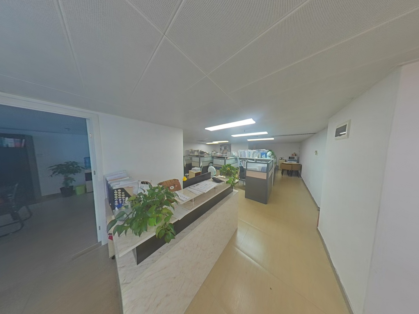VR预览图