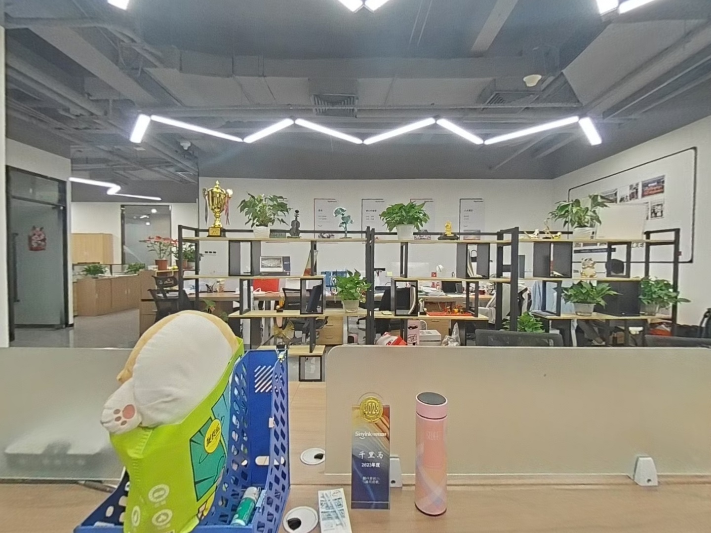 VR预览图