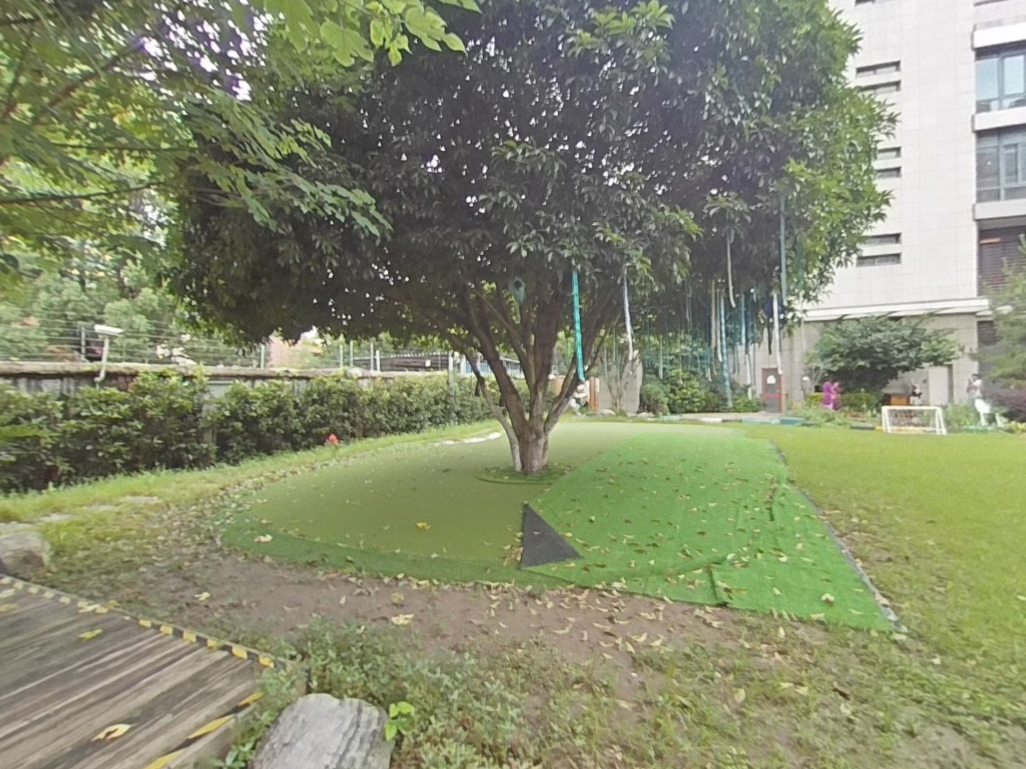 VR预览图
