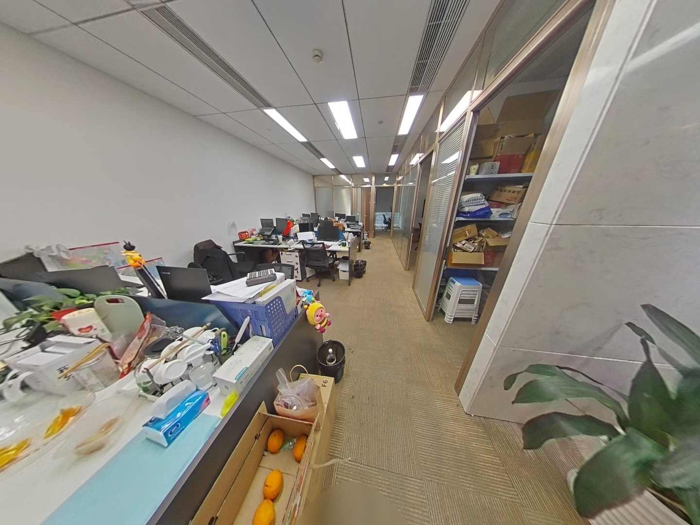 VR预览图