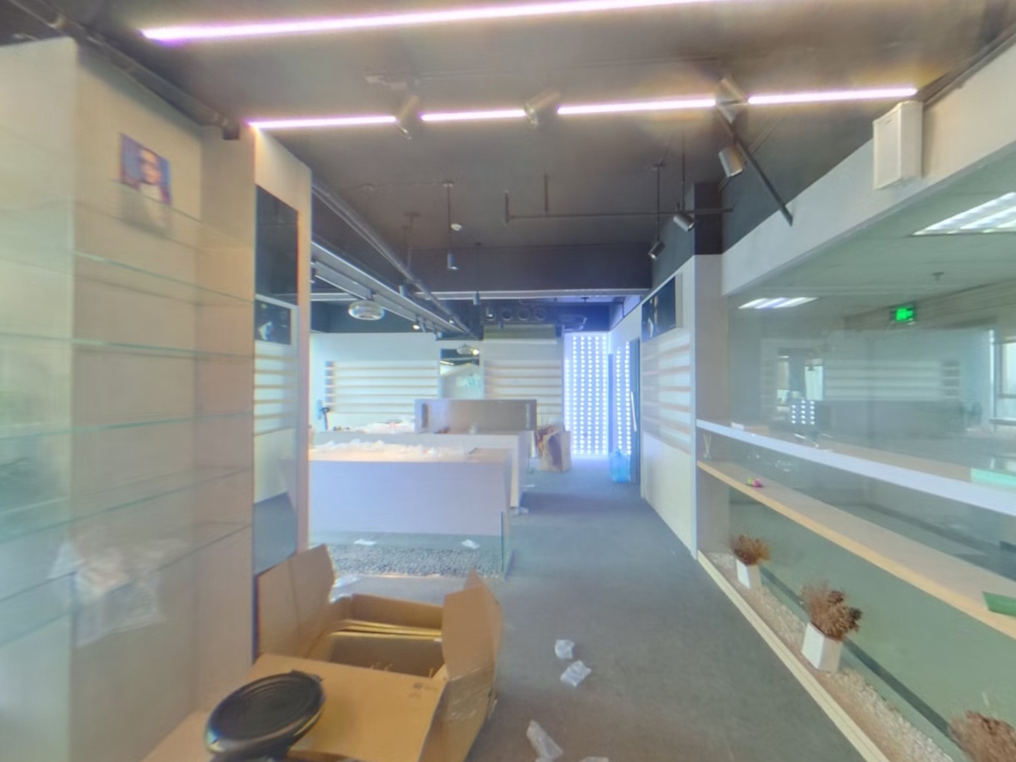 VR预览图