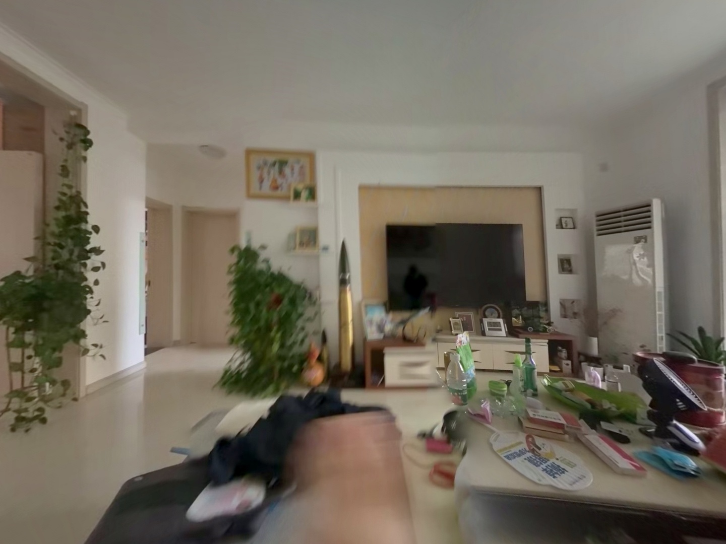 VR预览图