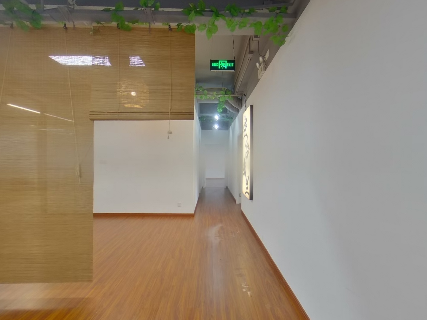 VR预览图