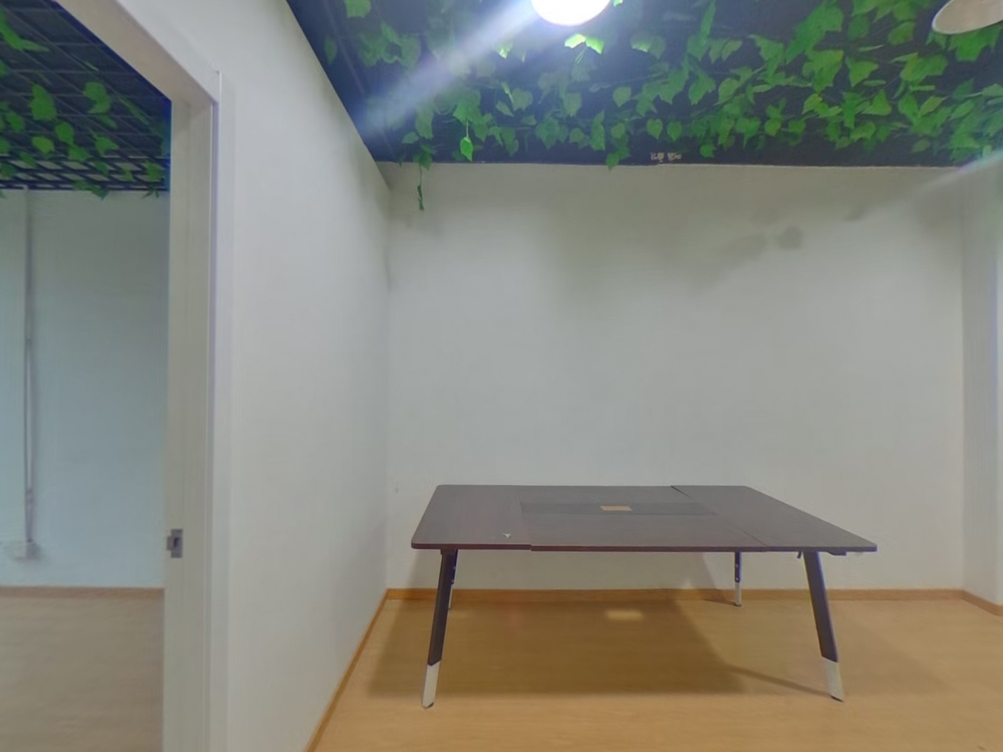 VR预览图