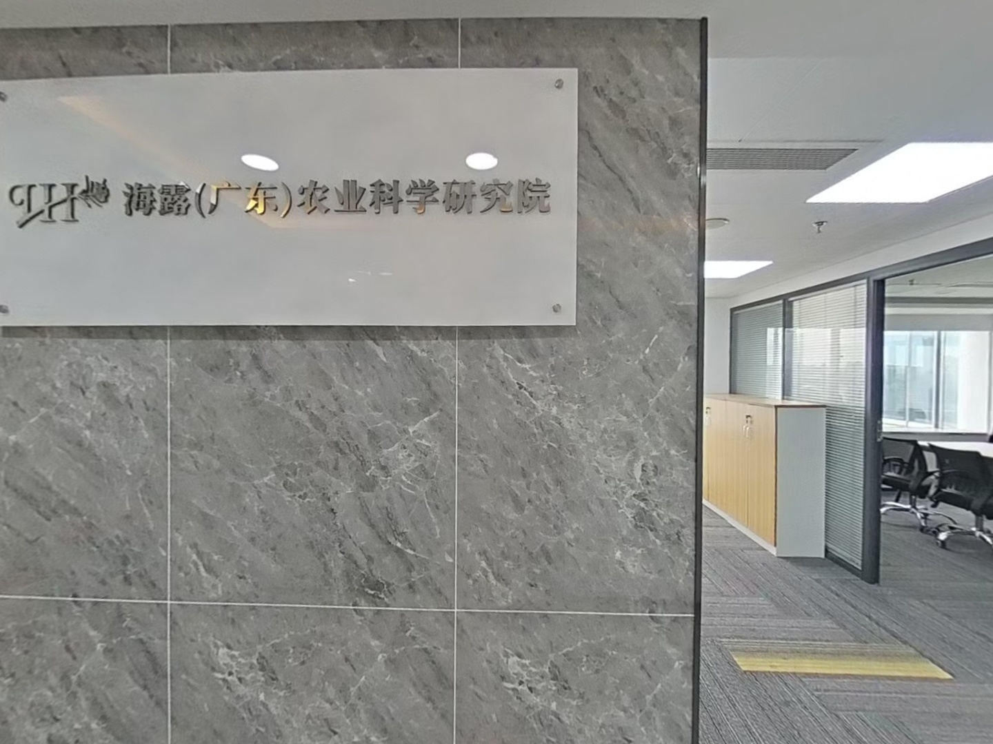 VR预览图