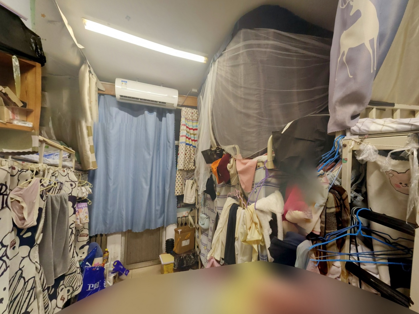 VR预览图