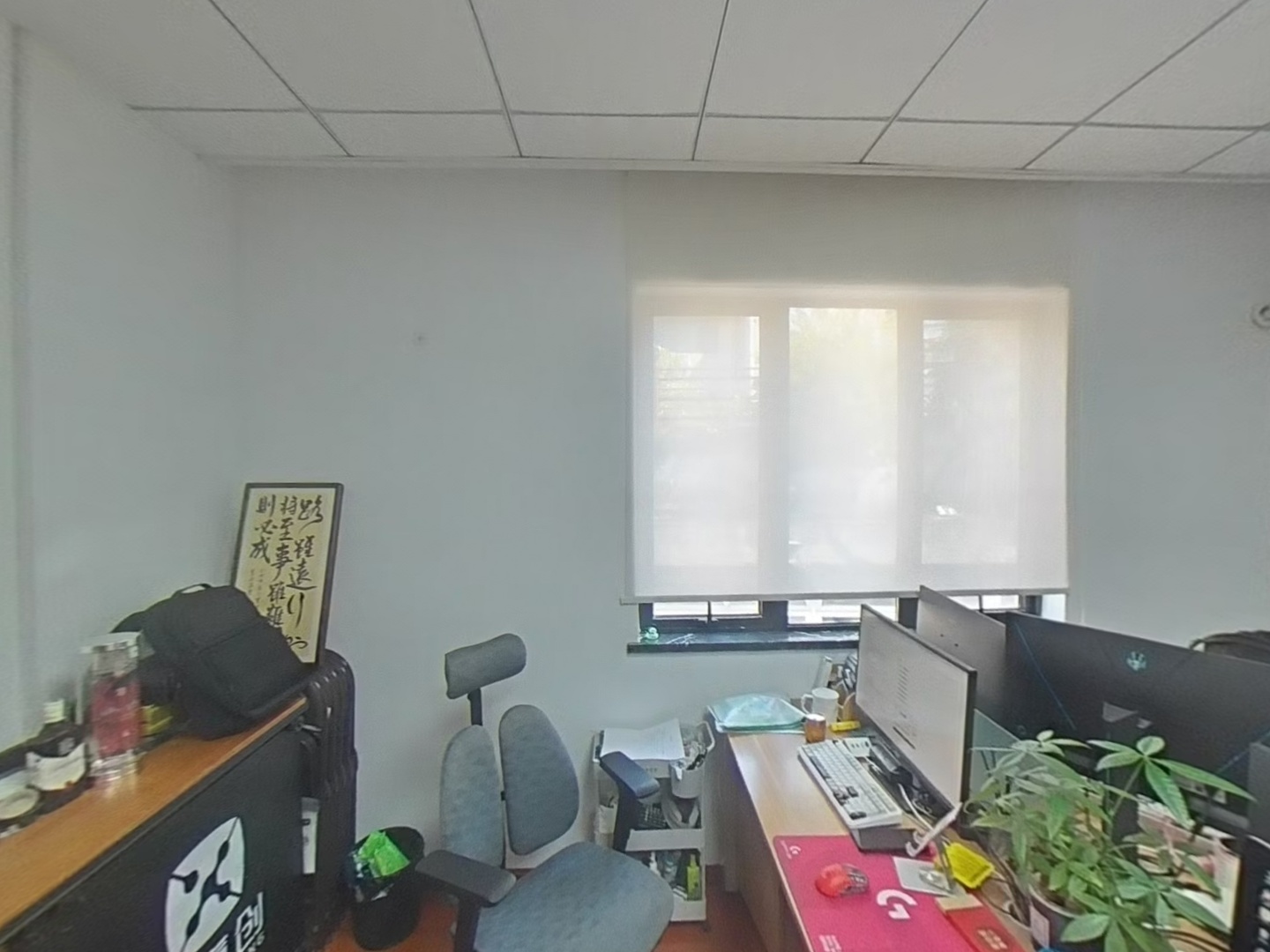 VR预览图