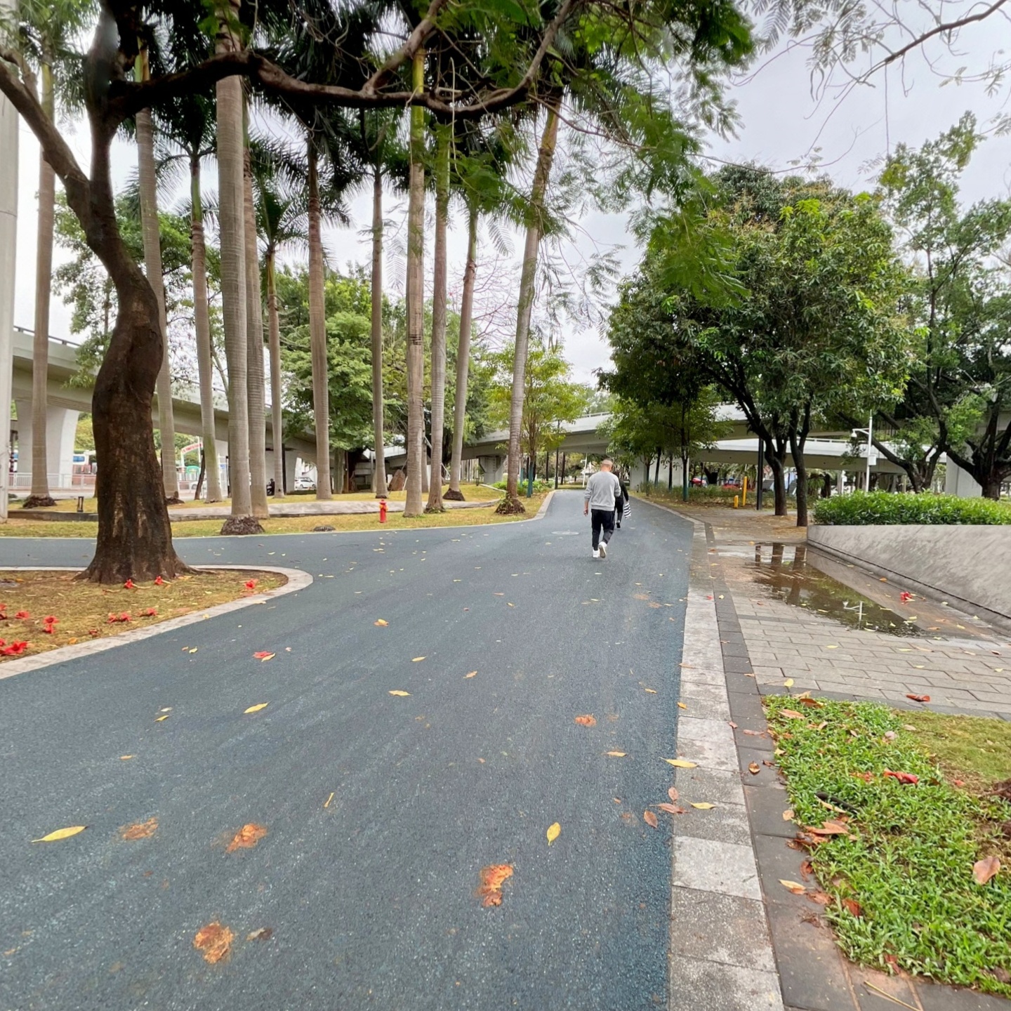雨后的街心公园,如视VR
