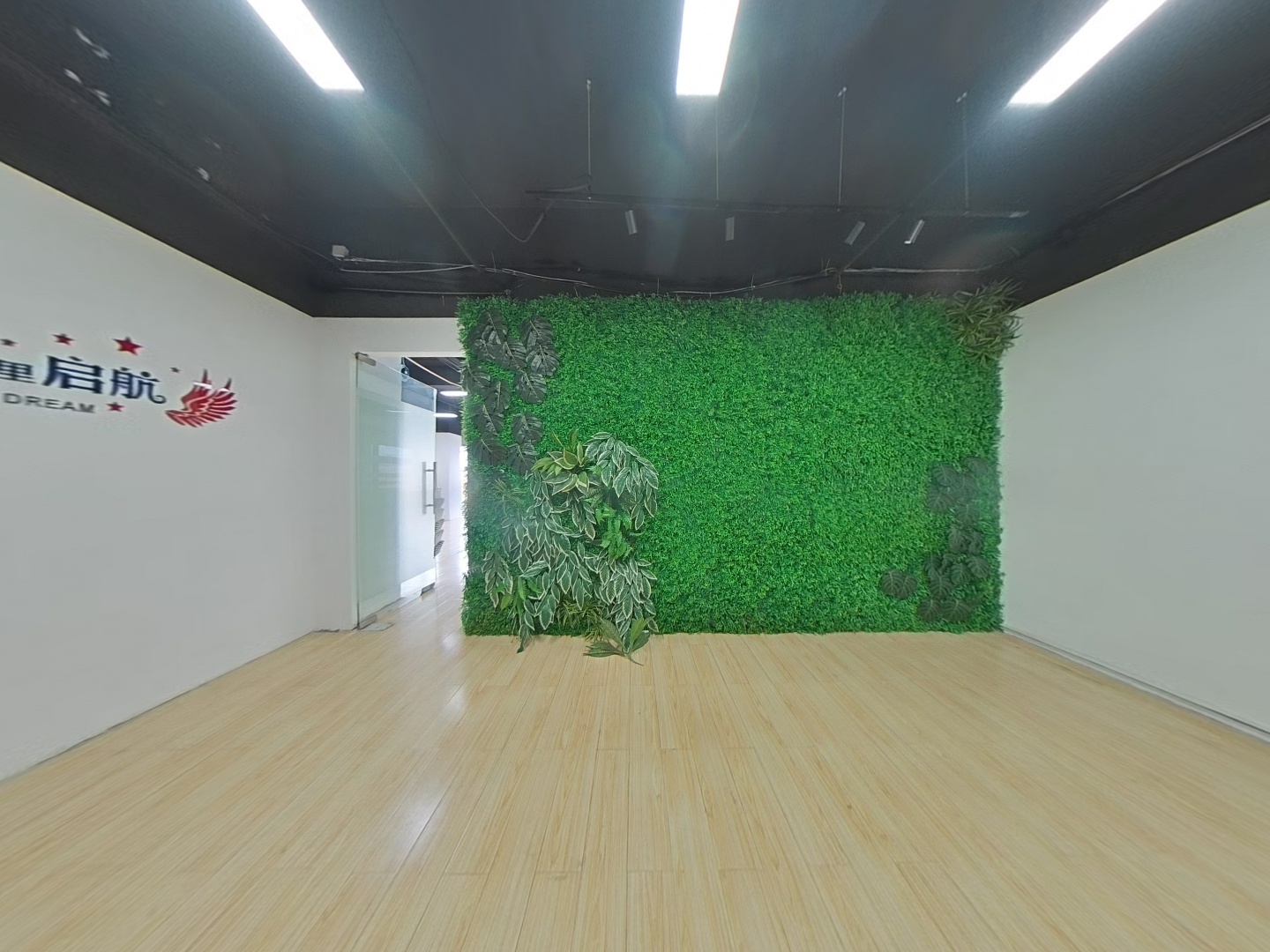 VR预览图