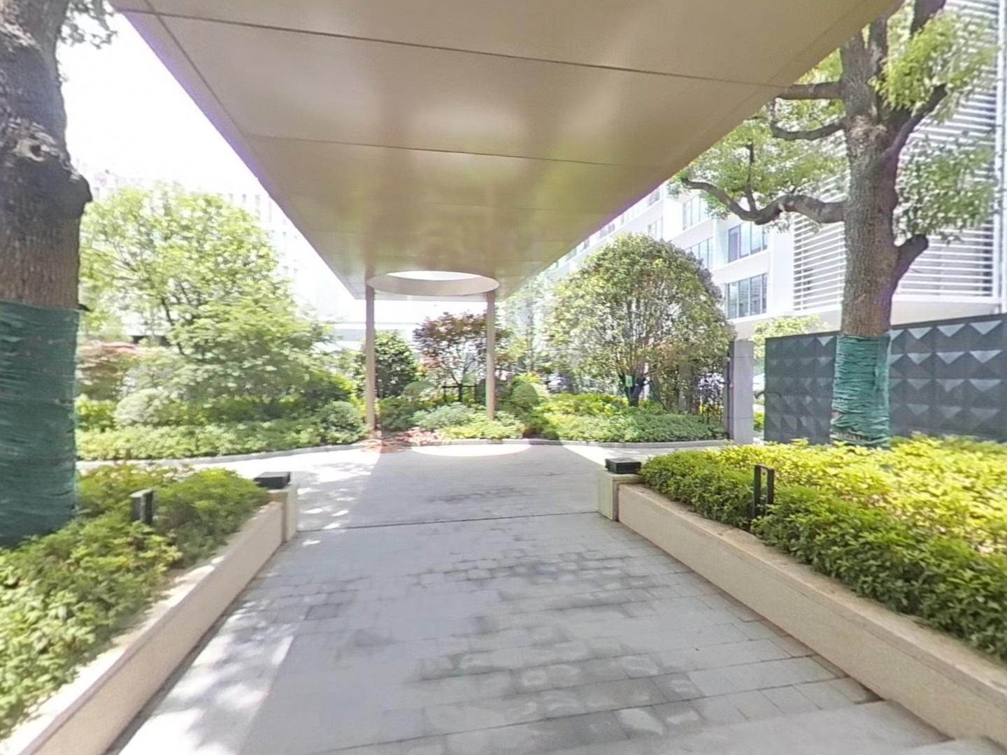 VR预览图