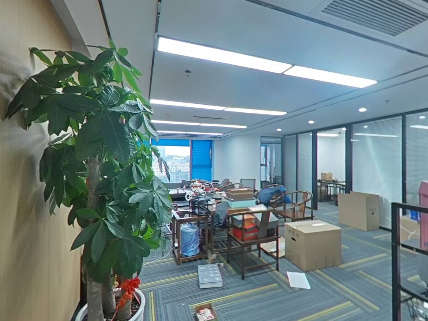 VR预览图