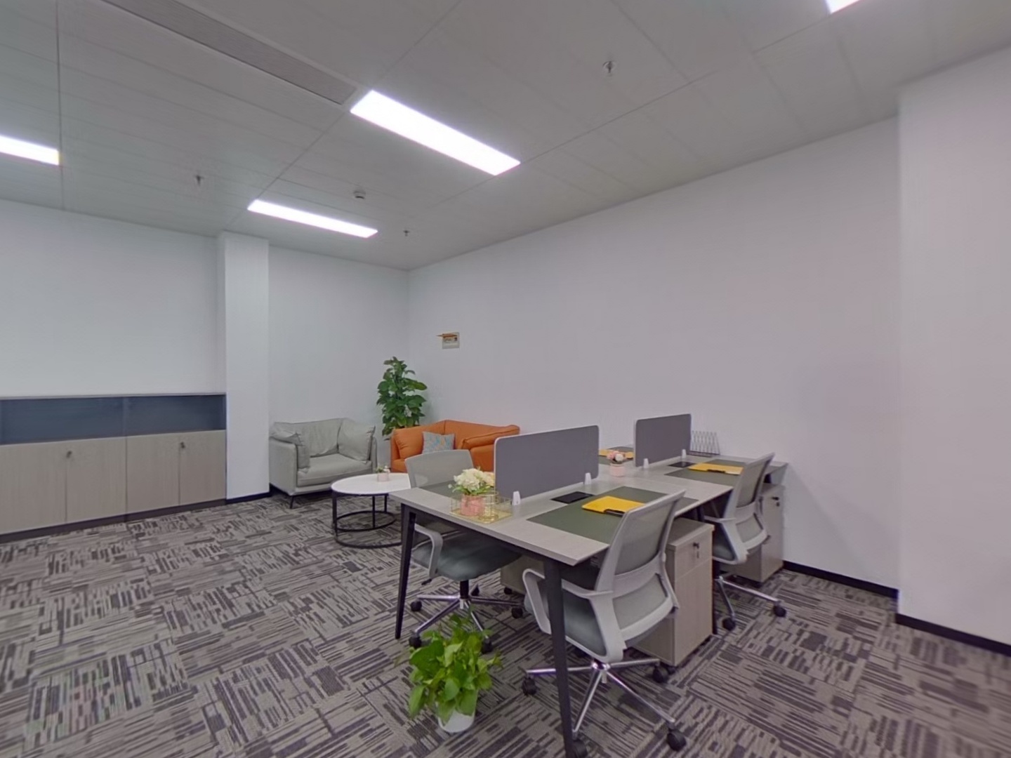 VR预览图