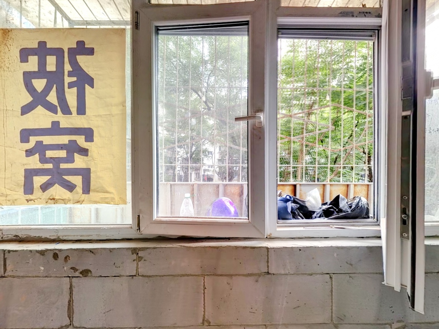 VR预览图