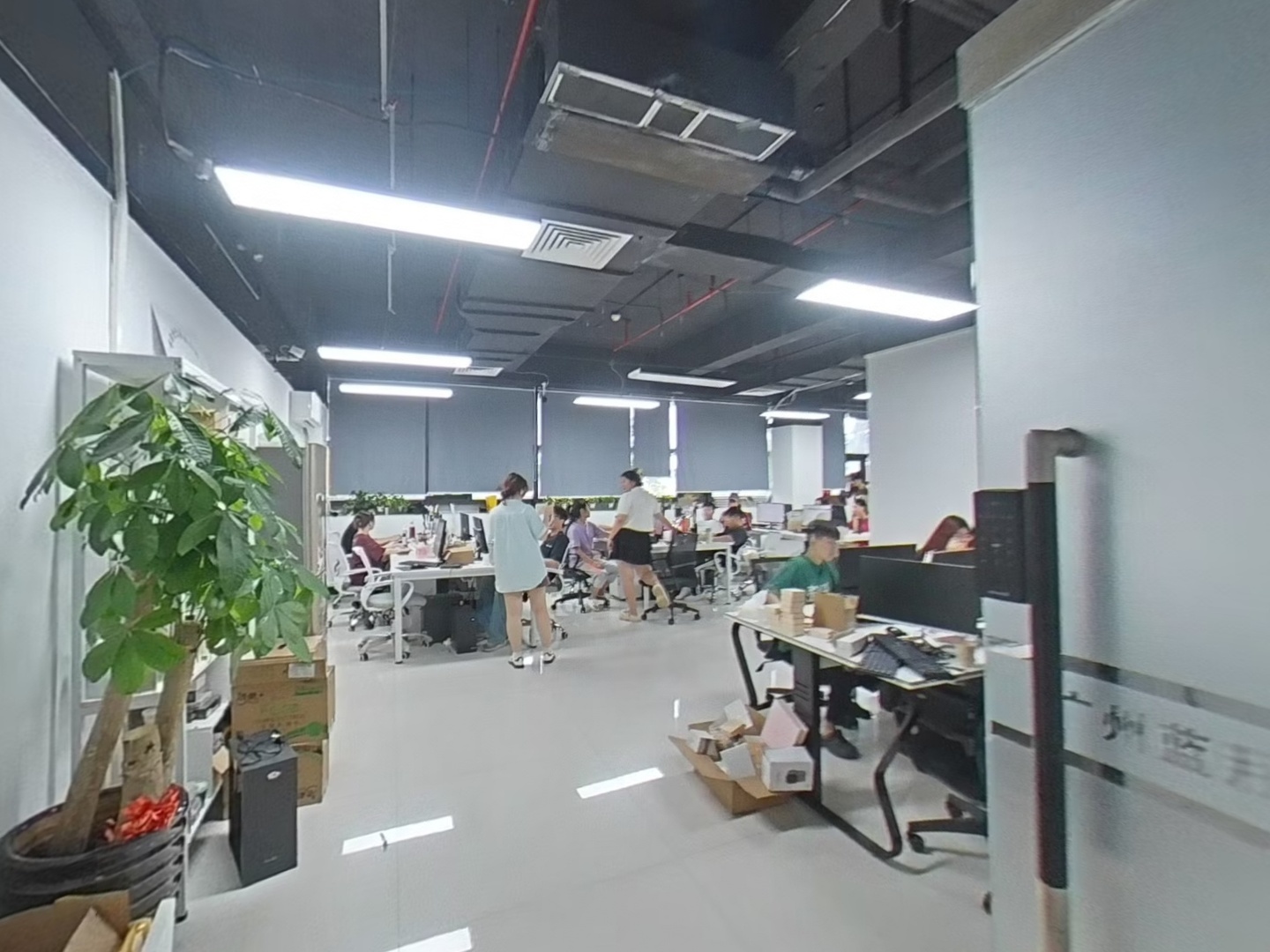 VR预览图