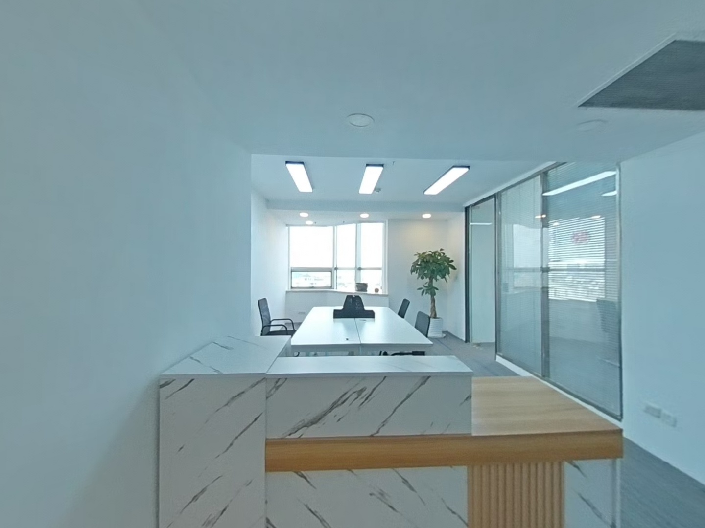 VR预览图