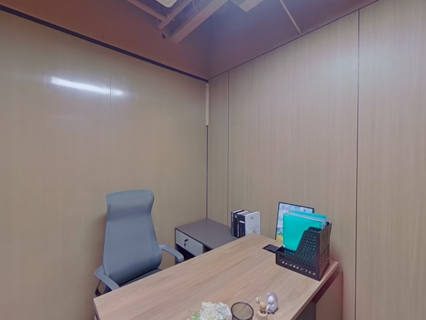 VR预览图