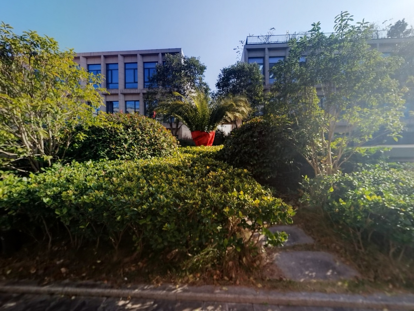 VR预览图