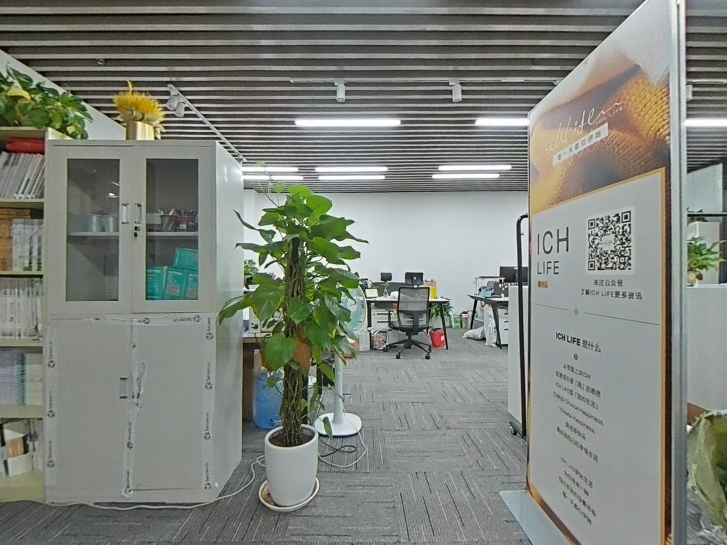 VR预览图