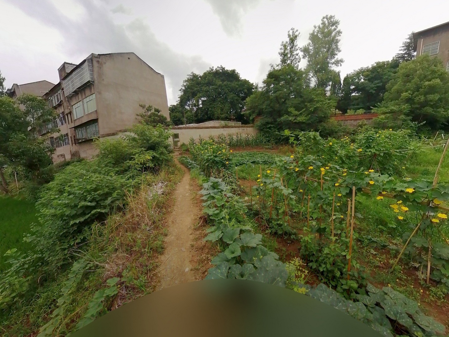 VR预览图