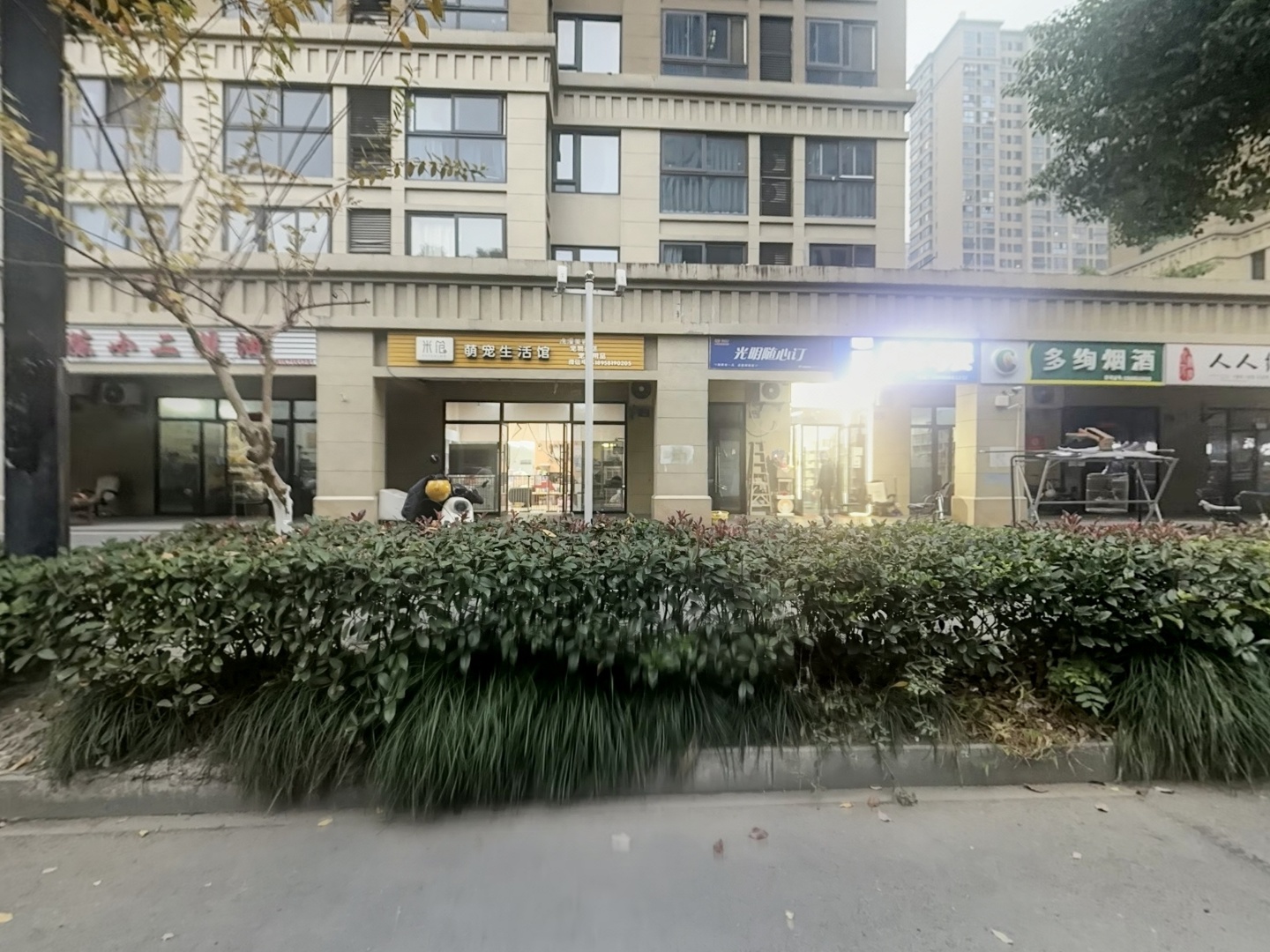 VR预览图