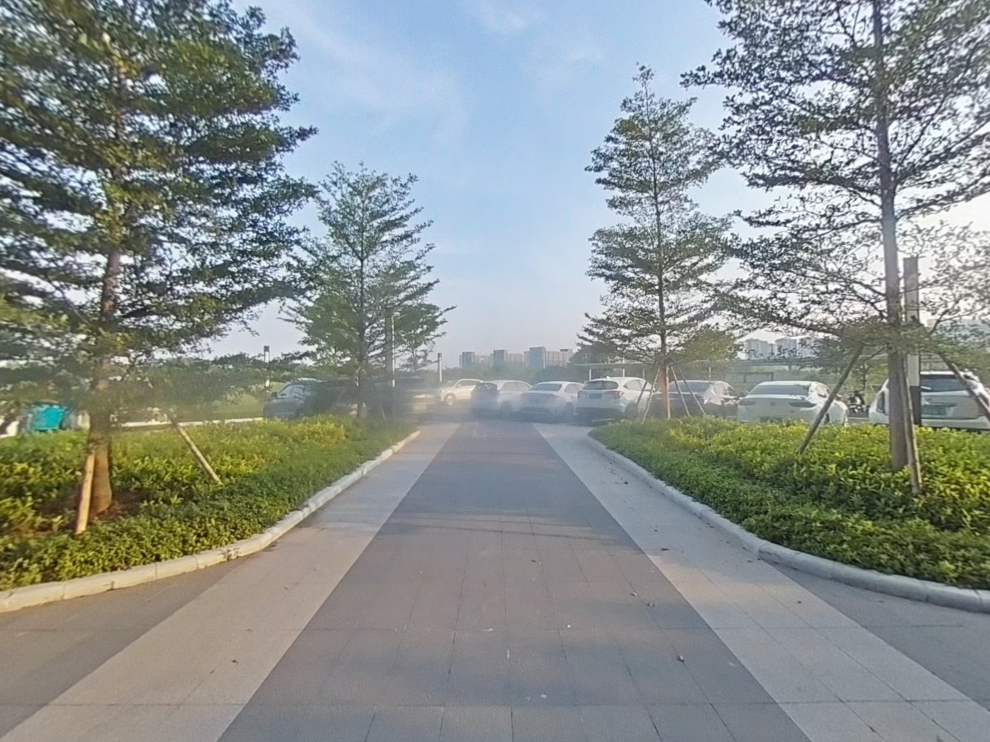 VR预览图