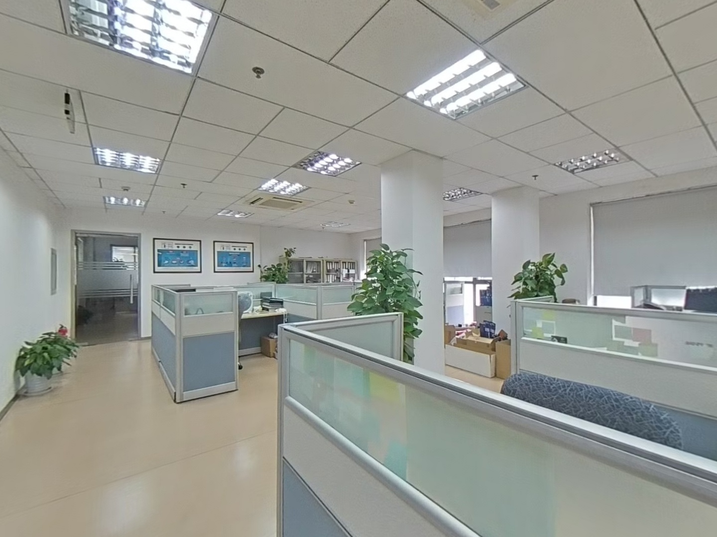 VR预览图