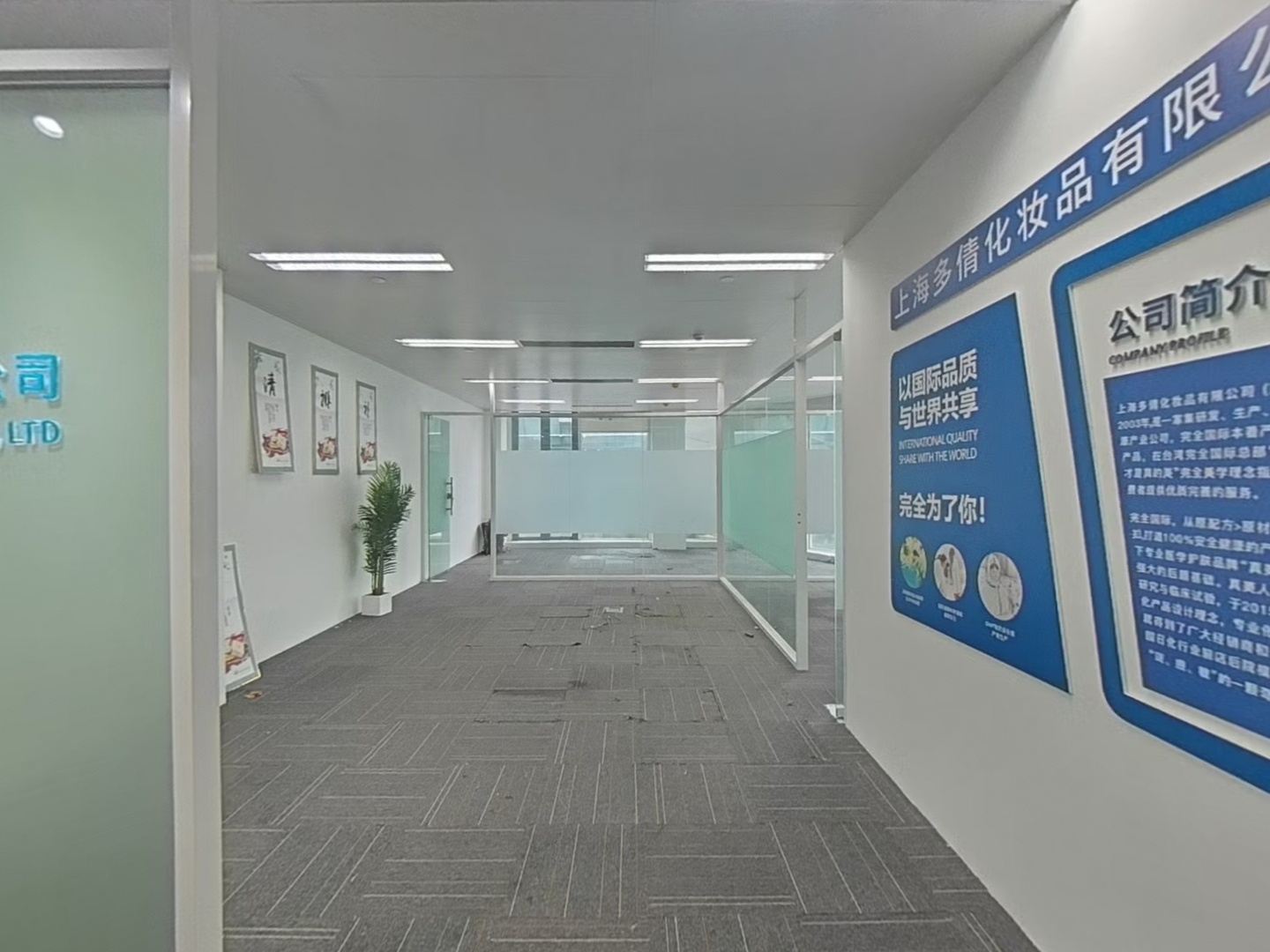 VR预览图