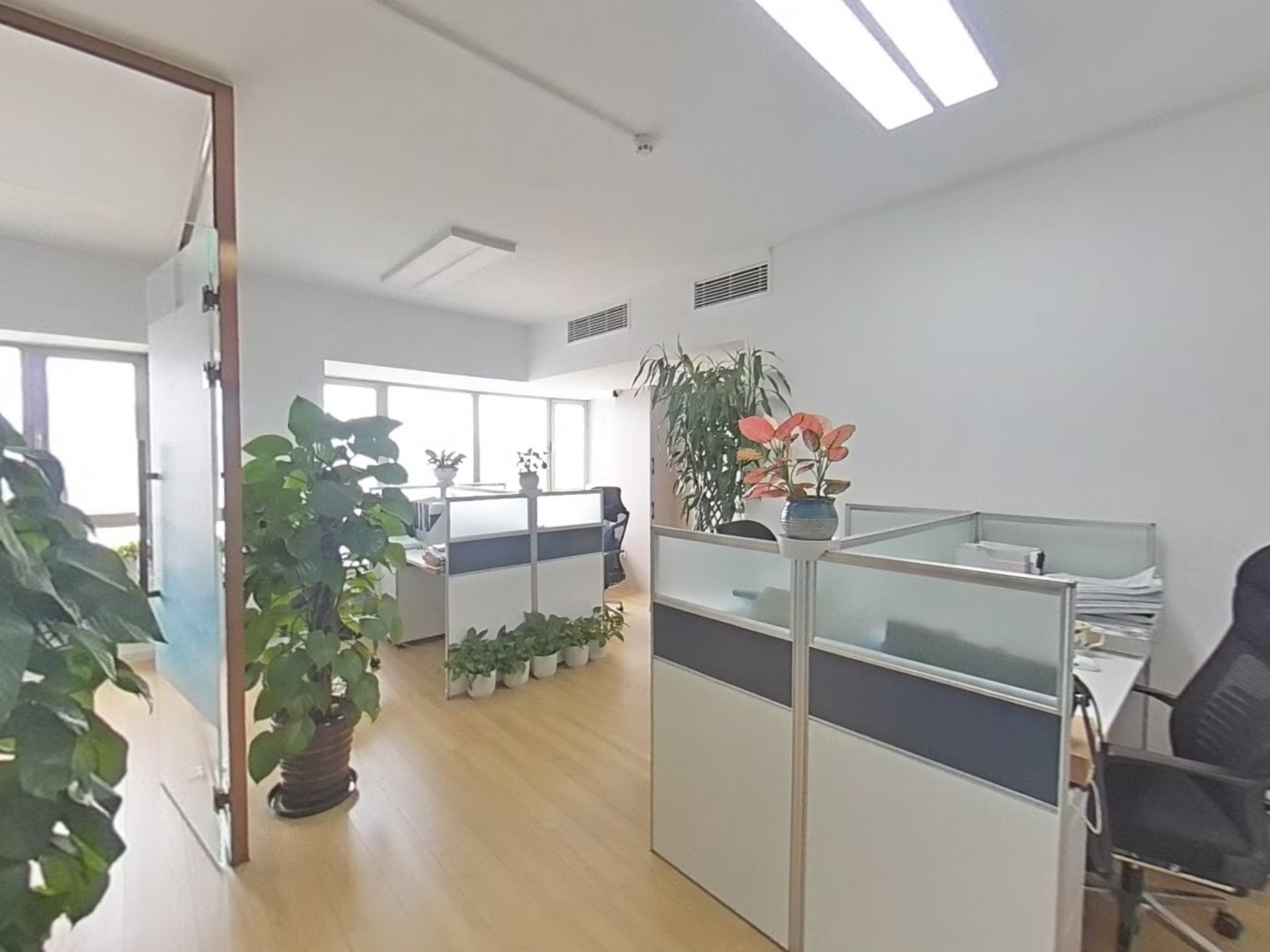 VR预览图