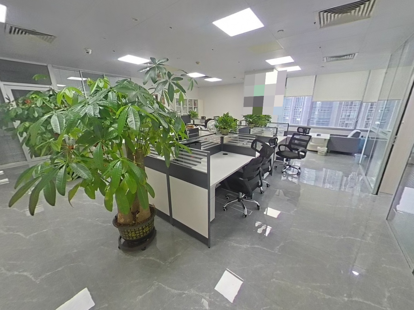 VR预览图