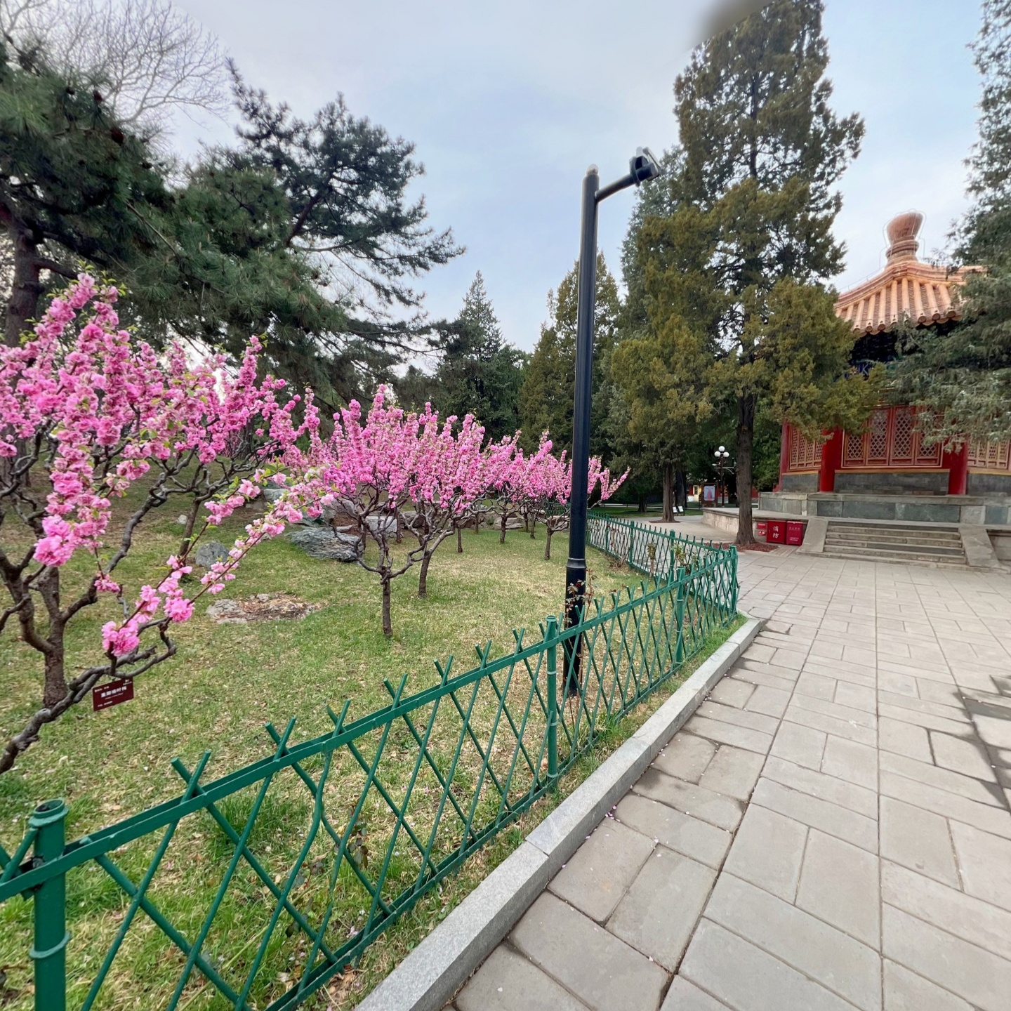 中山公园-习礼亭,如视VR