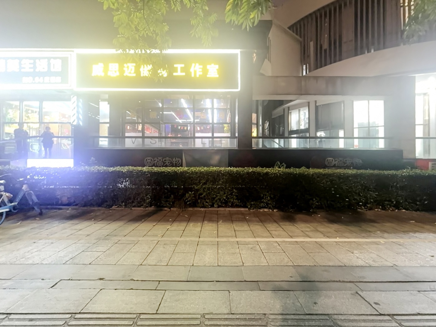 VR预览图