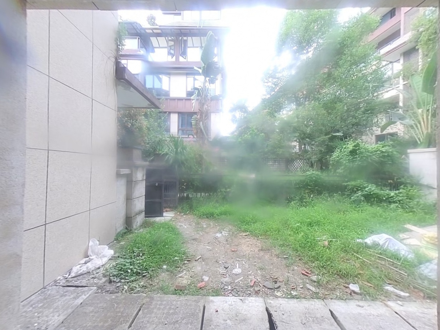 VR预览图