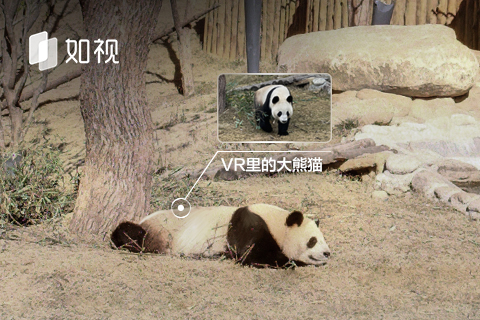 如视赋能佛坪文旅资源数字化呈现，打造城市宣传的“智慧名片”